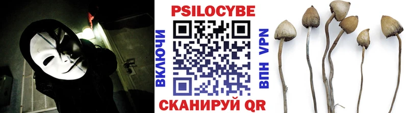 Псилоцибиновые грибы мицелий  OMG онион  Перевоз  как найти закладки 